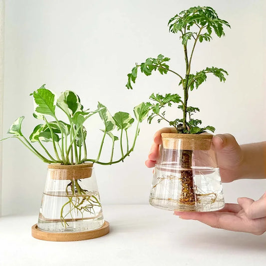 Design-Vase „Lichtgrün“ – Frische Eleganz für moderne Räume