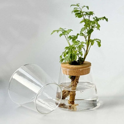 Design-Vase „Lichtgrün“ – Frische Eleganz für moderne Räume
