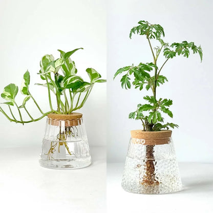 Design-Vase „Lichtgrün“ – Frische Eleganz für moderne Räume