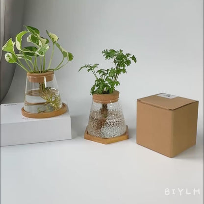 Design-Vase „Lichtgrün“ – Frische Eleganz für moderne Räume